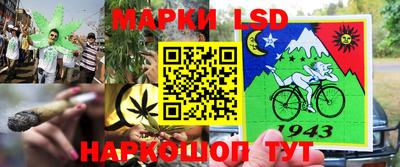 apvp Рыбинск