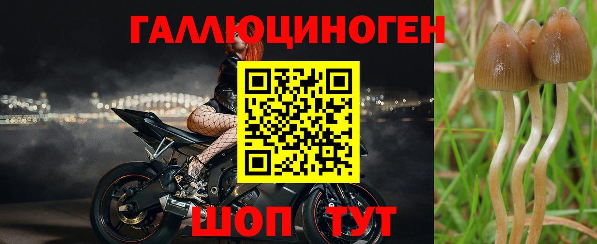 Санкт-Петербург  Галлюциногенные грибы мухоморы  даркнет сайт  Вход с VPN 